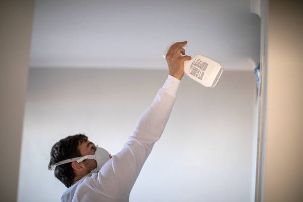 Professional Mold Remediation in Aliceville, AL